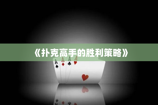 《扑克高手的胜利策略》
