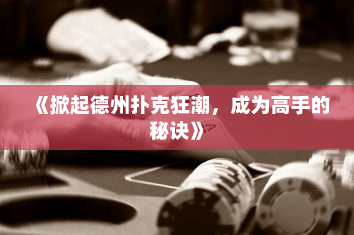 《掀起德州扑克狂潮，成为高手的秘诀》