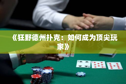 《狂野德州扑克：如何成为顶尖玩家》