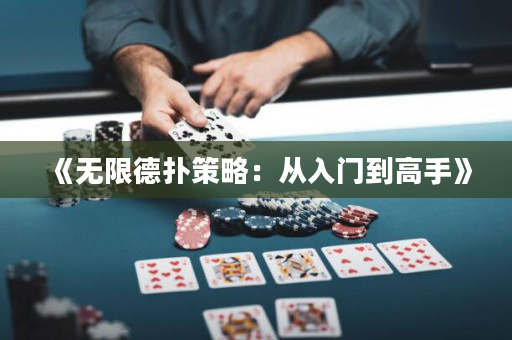 《无限德扑策略：从入门到高手》