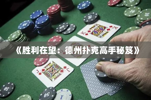《胜利在望：德州扑克高手秘笈》