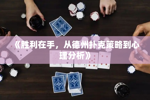 《胜利在手，从德州扑克策略到心理分析》