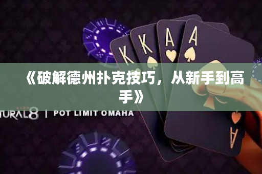 《破解德州扑克技巧，从新手到高手》