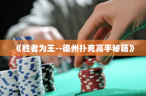 《胜者为王--德州扑克高手秘籍》
