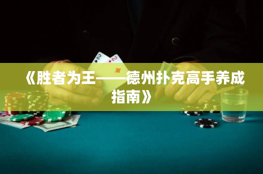 《胜者为王——德州扑克高手养成指南》