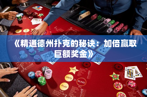 《精通德州扑克的秘诀：加倍赢取巨额奖金》