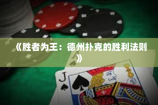 《胜者为王：德州扑克的胜利法则》