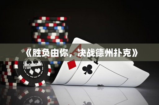 《胜负由你，决战德州扑克》