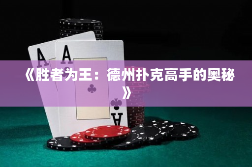 《胜者为王：德州扑克高手的奥秘》