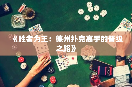 《胜者为王：德州扑克高手的晋级之路》