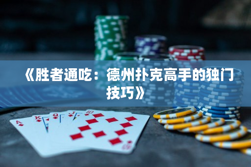 《胜者通吃：德州扑克高手的独门技巧》