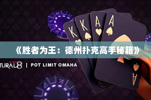 《胜者为王：德州扑克高手秘籍》