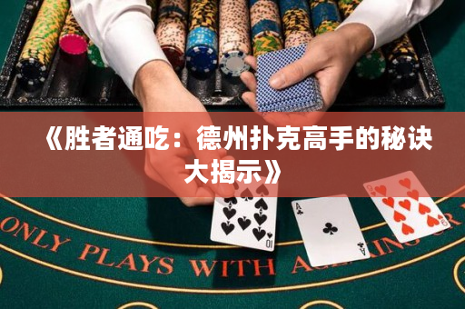《胜者通吃：德州扑克高手的秘诀大揭示》
