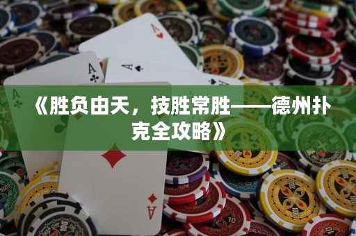 《胜负由天，技胜常胜——德州扑克全攻略》