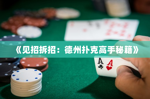 《见招拆招：德州扑克高手秘籍》