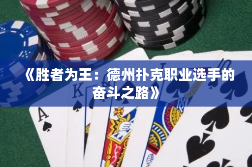 《胜者为王：德州扑克职业选手的奋斗之路》