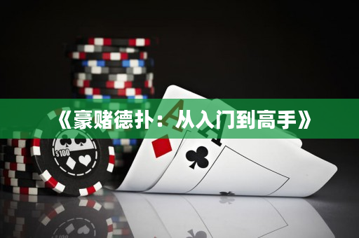 《豪赌德扑：从入门到高手》