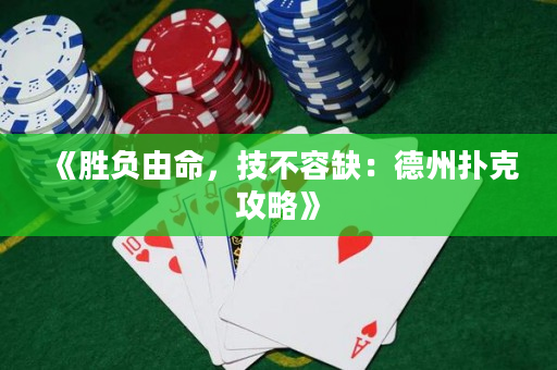 《胜负由命，技不容缺：德州扑克攻略》