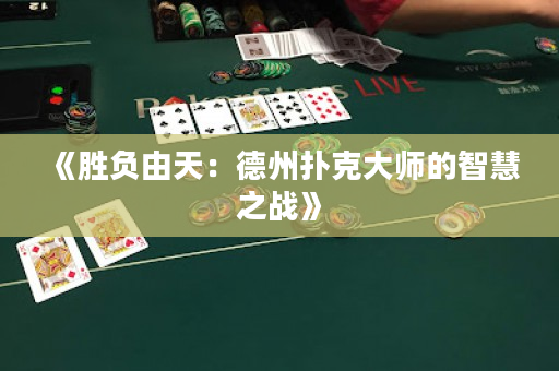 《胜负由天：德州扑克大师的智慧之战》