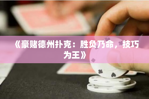 《豪赌德州扑克：胜负乃命，技巧为王》