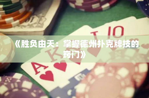《胜负由天：掌握德州扑克牌技的窍门》