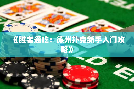 《胜者通吃：德州扑克新手入门攻略》