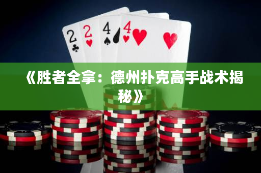 《胜者全拿：德州扑克高手战术揭秘》