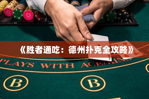 《胜者通吃：德州扑克全攻略》