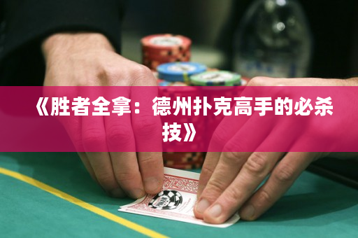 《胜者全拿：德州扑克高手的必杀技》