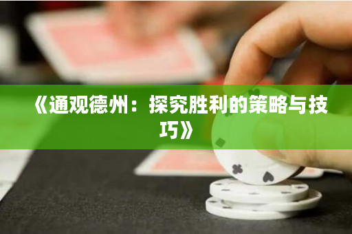 《通观德州：探究胜利的策略与技巧》