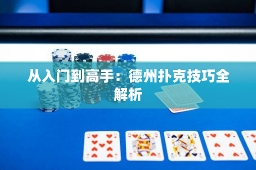 从入门到高手：德州扑克技巧全解析