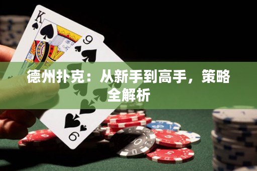 德州扑克：从新手到高手，策略全解析
