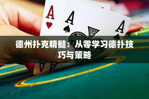 德州扑克精髓：从零学习德扑技巧与策略