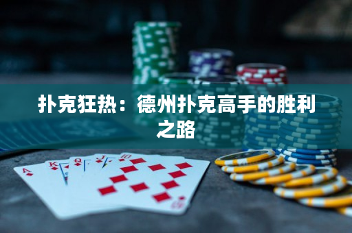 扑克狂热：德州扑克高手的胜利之路