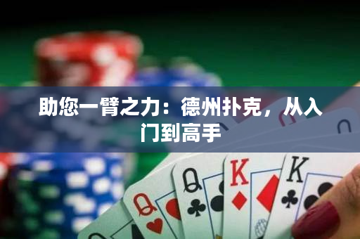 助您一臂之力：德州扑克，从入门到高手