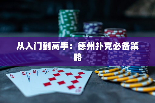 从入门到高手：德州扑克必备策略