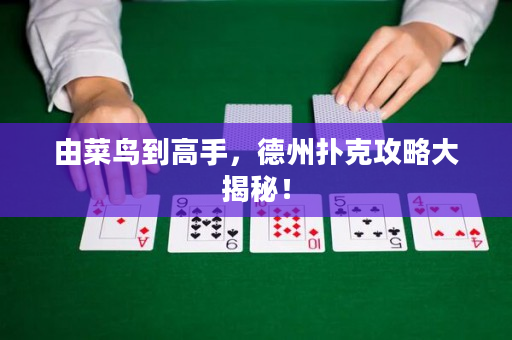 由菜鸟到高手，德州扑克攻略大揭秘！