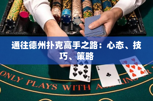 通往德州扑克高手之路：心态、技巧、策略