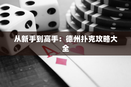 从新手到高手：德州扑克攻略大全