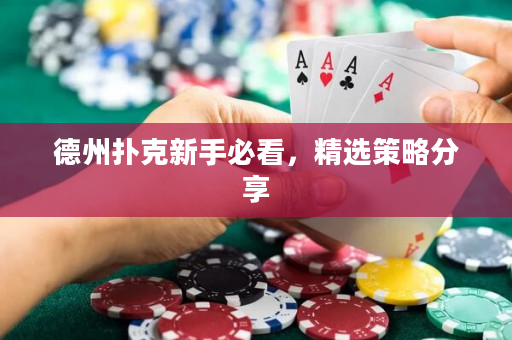 德州扑克新手必看，精选策略分享