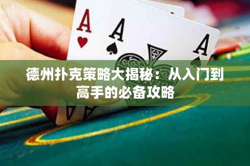德州扑克策略大揭秘：从入门到高手的必备攻略