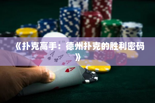 《扑克高手：德州扑克的胜利密码》