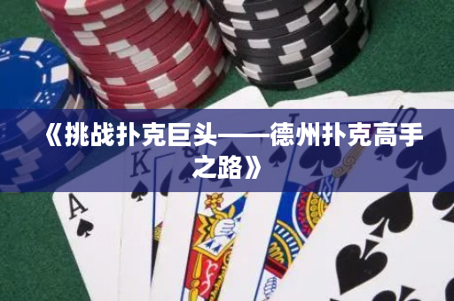 《挑战扑克巨头——德州扑克高手之路》