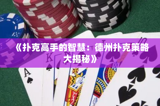 《扑克高手的智慧：德州扑克策略大揭秘》